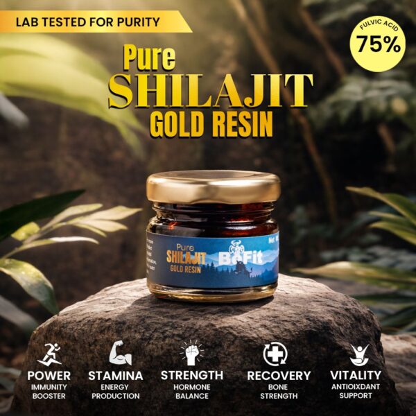 BeFit Shilajit Gold Resin