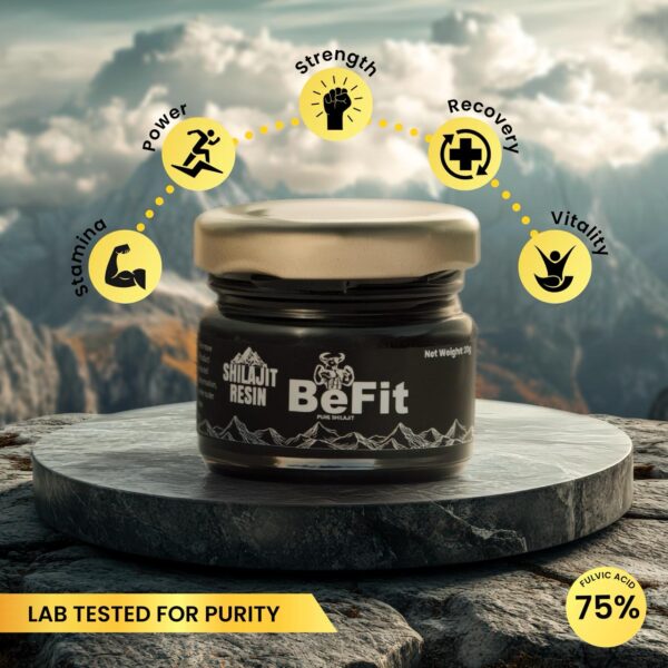 BeFit Shilajit Resin (20gram)